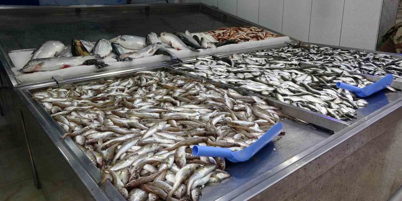 Denizlerde endüstriyel av yasağı başladı