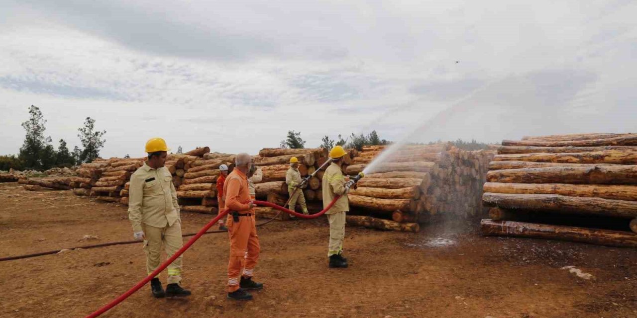 Milas Orman İşletme Müdürlüğü’nde İşbaşı Eğitimi yapıldı