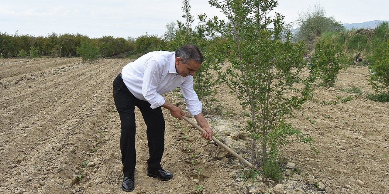 Vekil adayı eline çapayı alıp indiği tarladan üreticiye söz verdi