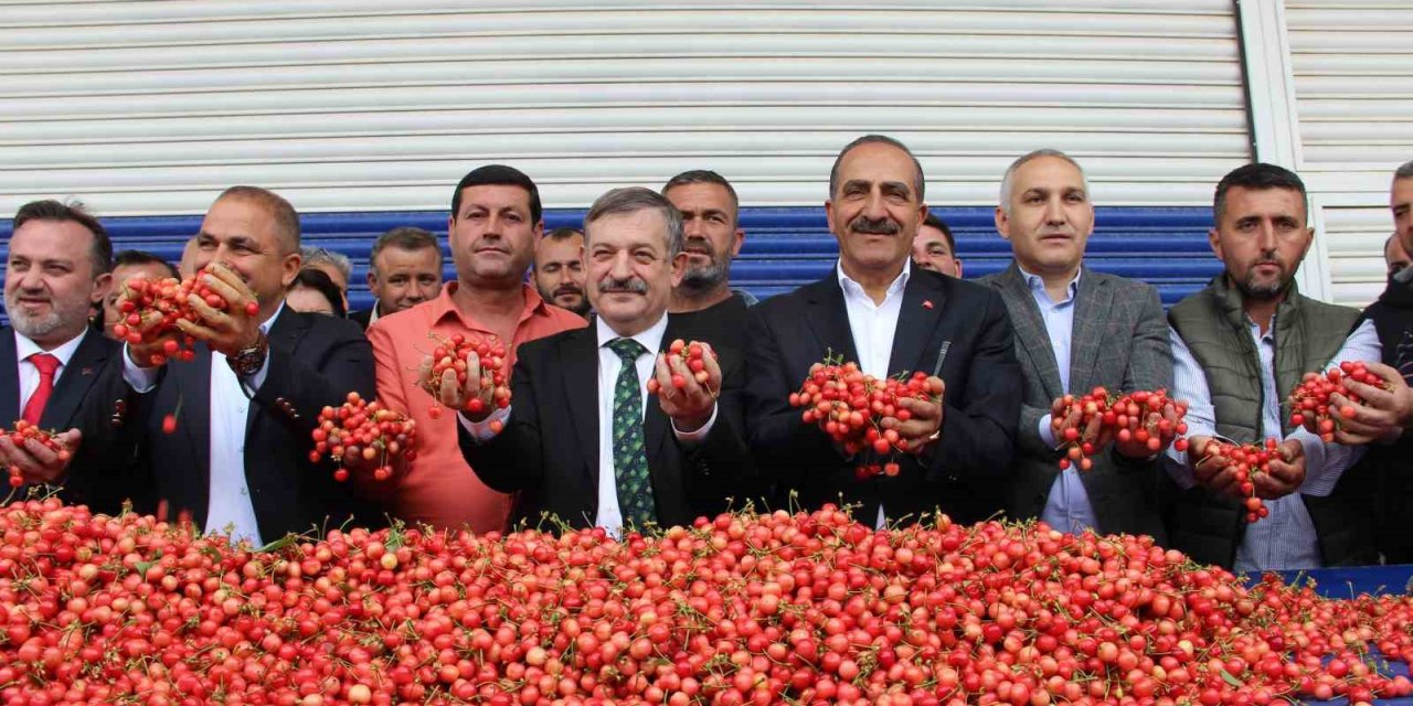 Sezonun ilk kirazı 800 TL’den satıldı