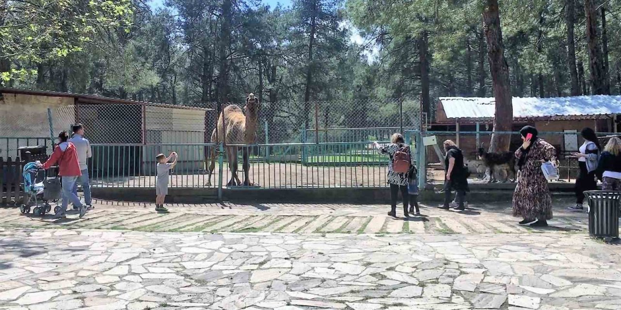 Faciadan dönülen hayvanat bahçesinde önlemler artırıldı