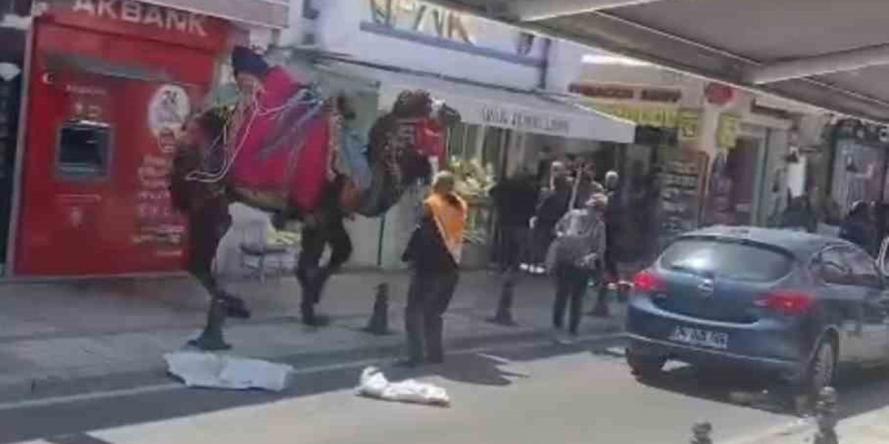 Bodrum çarşısında panik anları