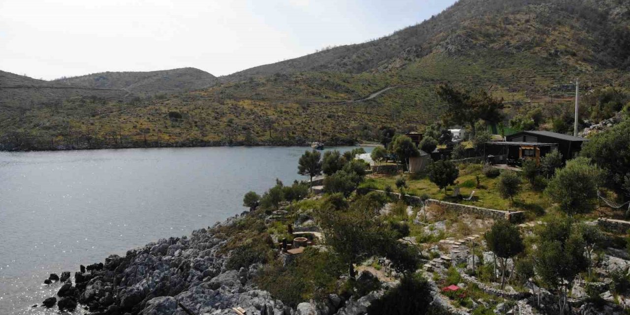 Çökertme Koyu küllerinden yeşeriyor