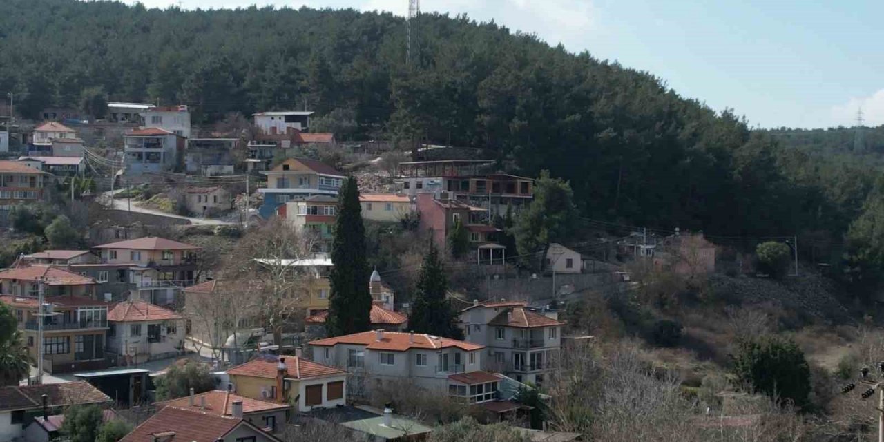Asırlık camiye ve ormanlarına gözü gibi bakıyorlar