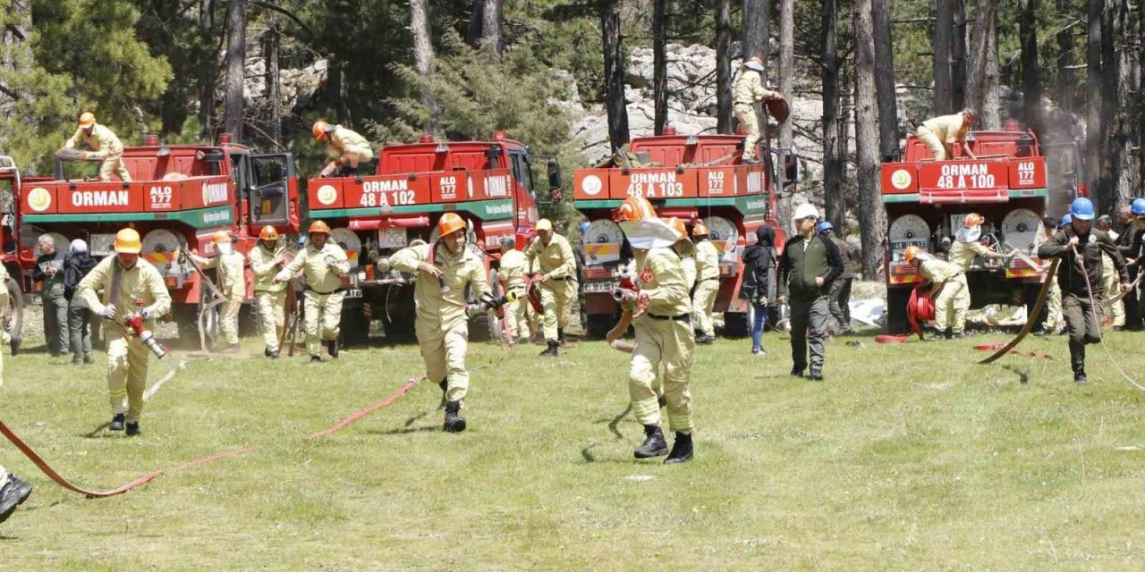 Yılanlı ve Muğla Orman İşletme Müdürlüklerinde İşbaşı Eğitimi