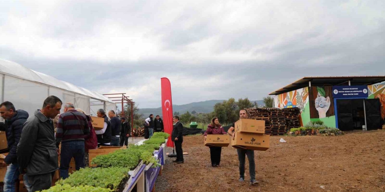 Bodrum’da 350 bin fide dağıtıldı