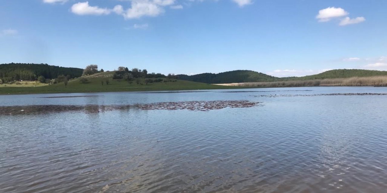 Nilüferler açmak için gün sayıyor