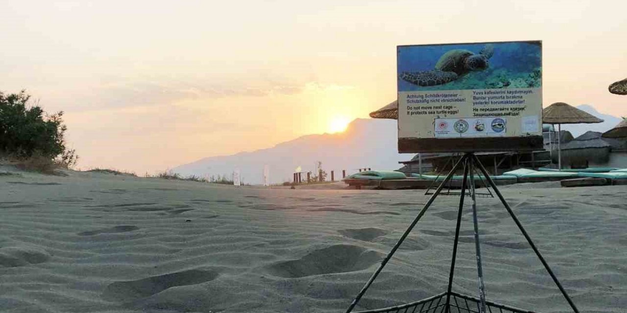 Sezonun ilk Caretta yuvası koruma altına alındı