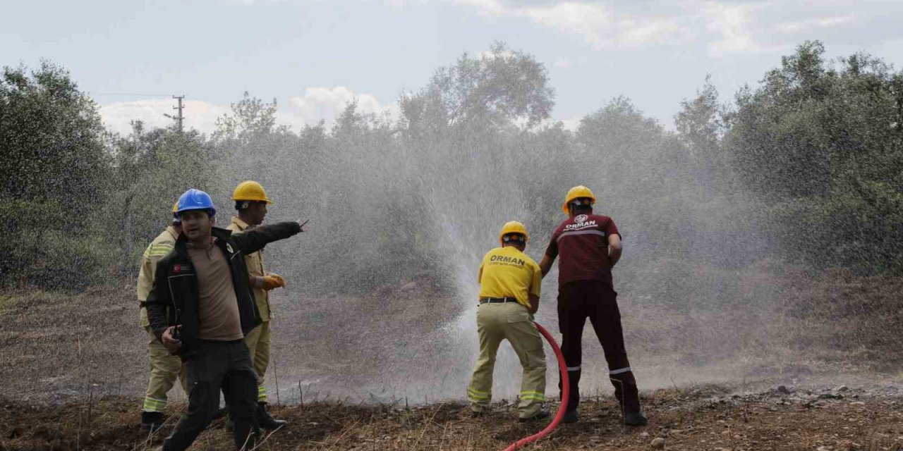 Köyceğiz ve Dalaman Orman İşletme Müdürlüklerinde işbaşı eğitimi düzenlendi
