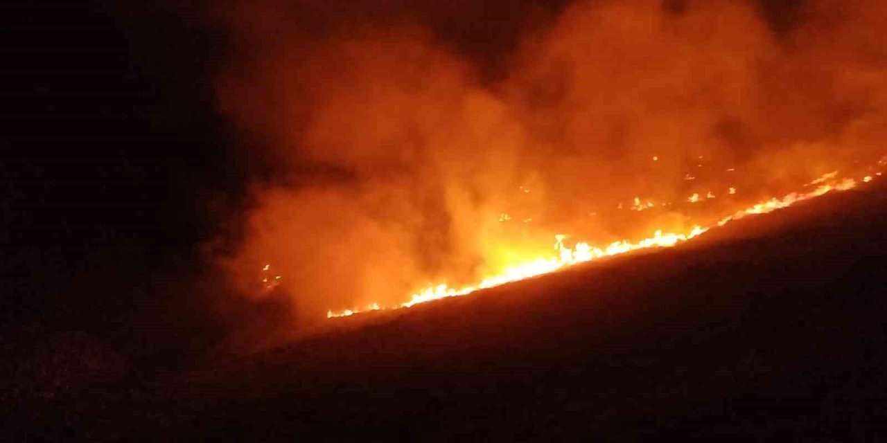 Bodrum’da otluk ve makilik arazide yangın