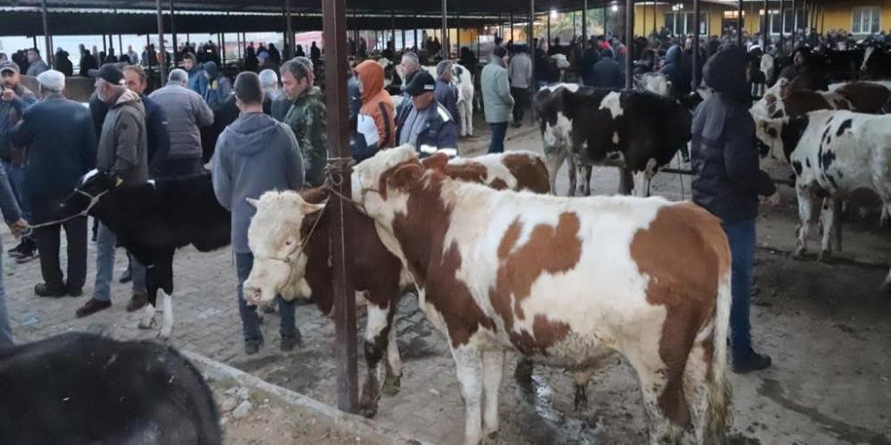 Aydın’da 50 gün aradan sonra hayvan pazarları açıldı