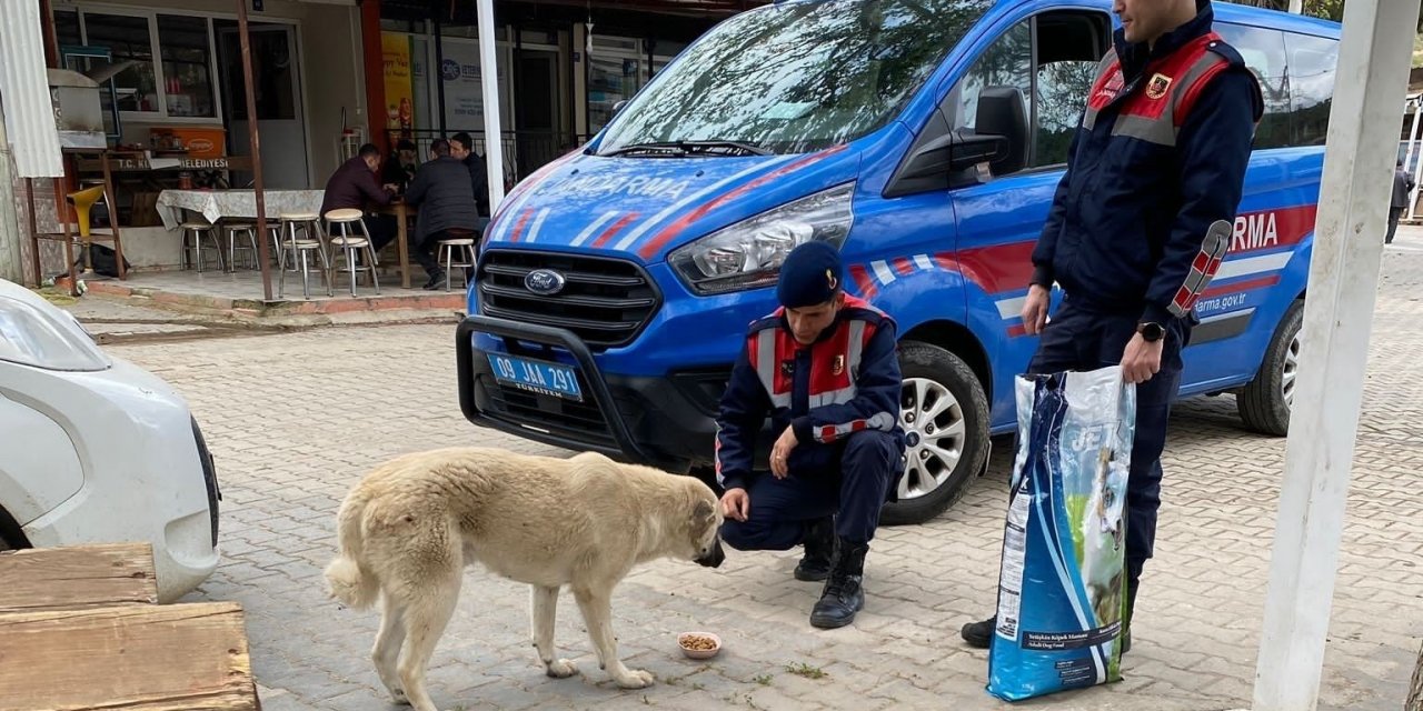Jandarma ekipleri can dostları unutmuyor