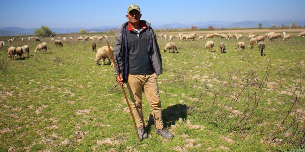 Koyunlarını hiçbir şeye değişmiyor
