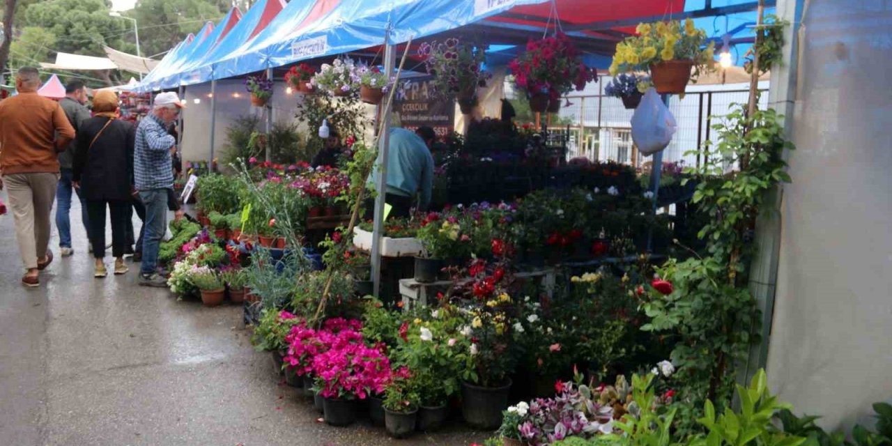 24. Uluslararası Bayındır Çiçek Festivali kapılarını açtı