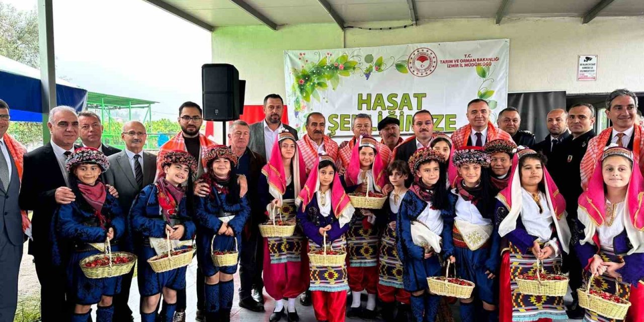 İzmir Kemalpaşa’da yılın ilk kiraz hasadı yapıldı