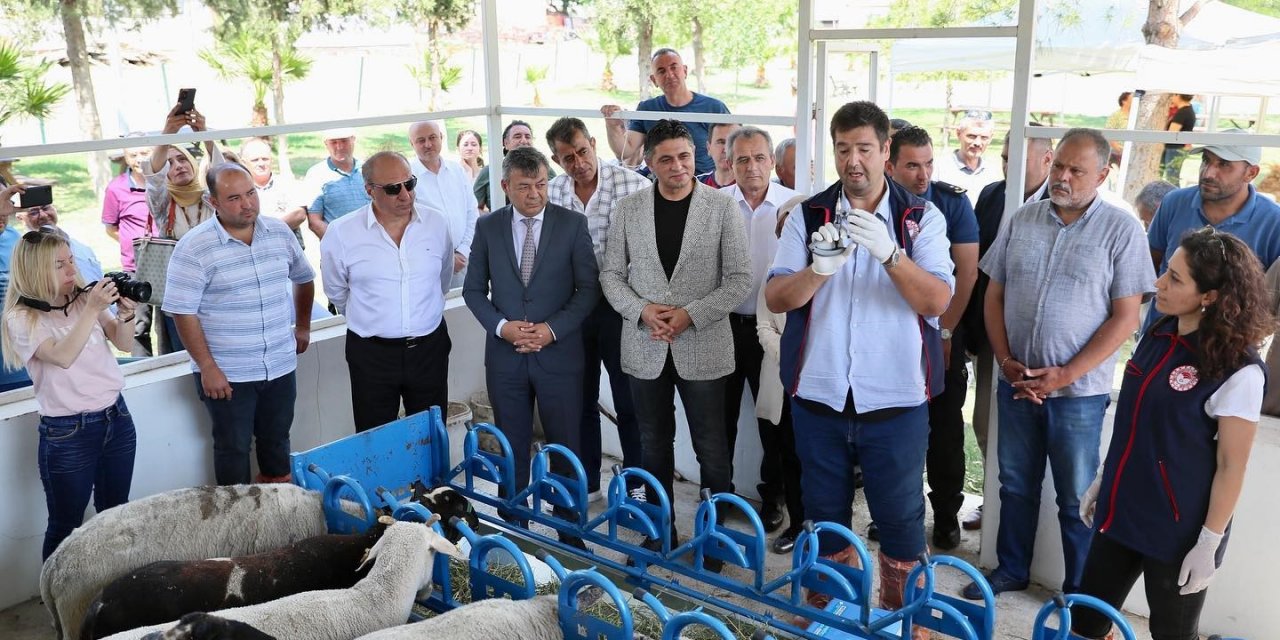 Aşı kampanyası Aliağalı üreticilere 28 milyonluk katkı sağladı