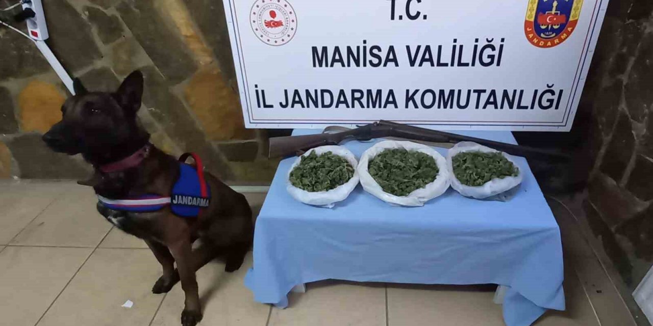 Manisa Jandarması uyuşturucu tacirlerine göz açtırmıyor