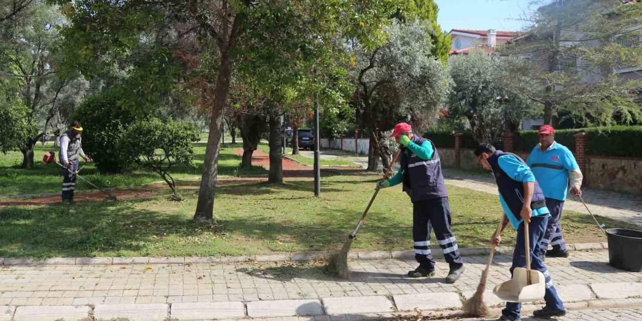 Efeler’in yeşil ekipleri, bahar temizliğini sürdürüyor