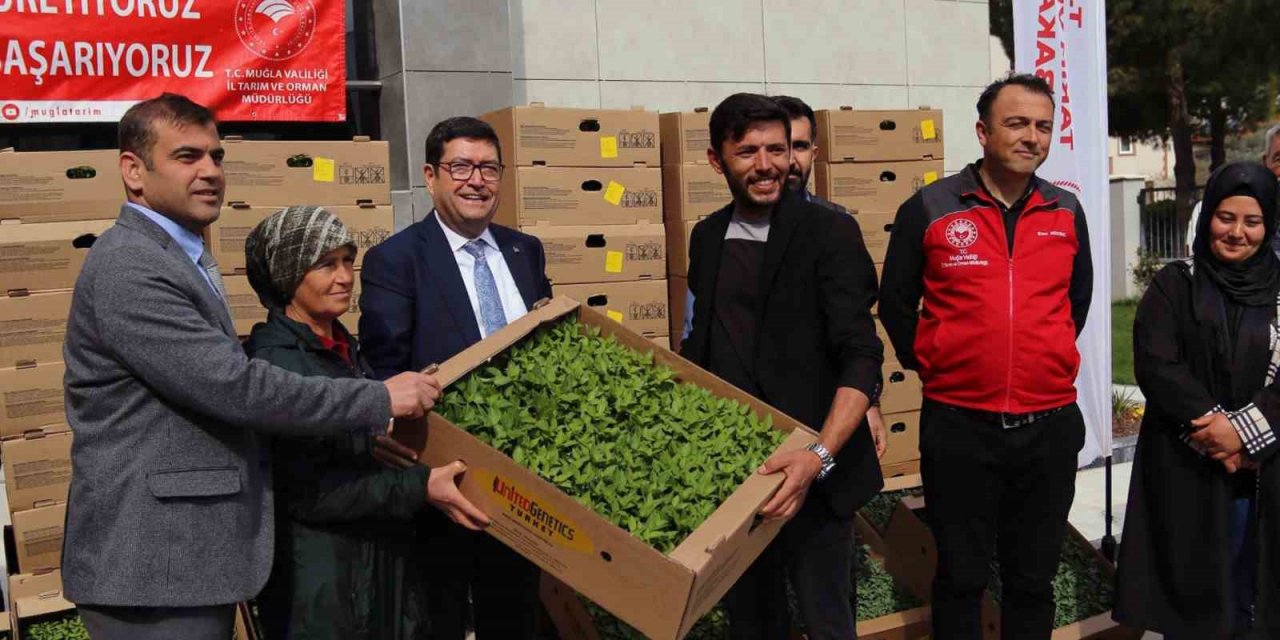 Muğla’da 2,5 milyon ata fidesi toprakla buluştu