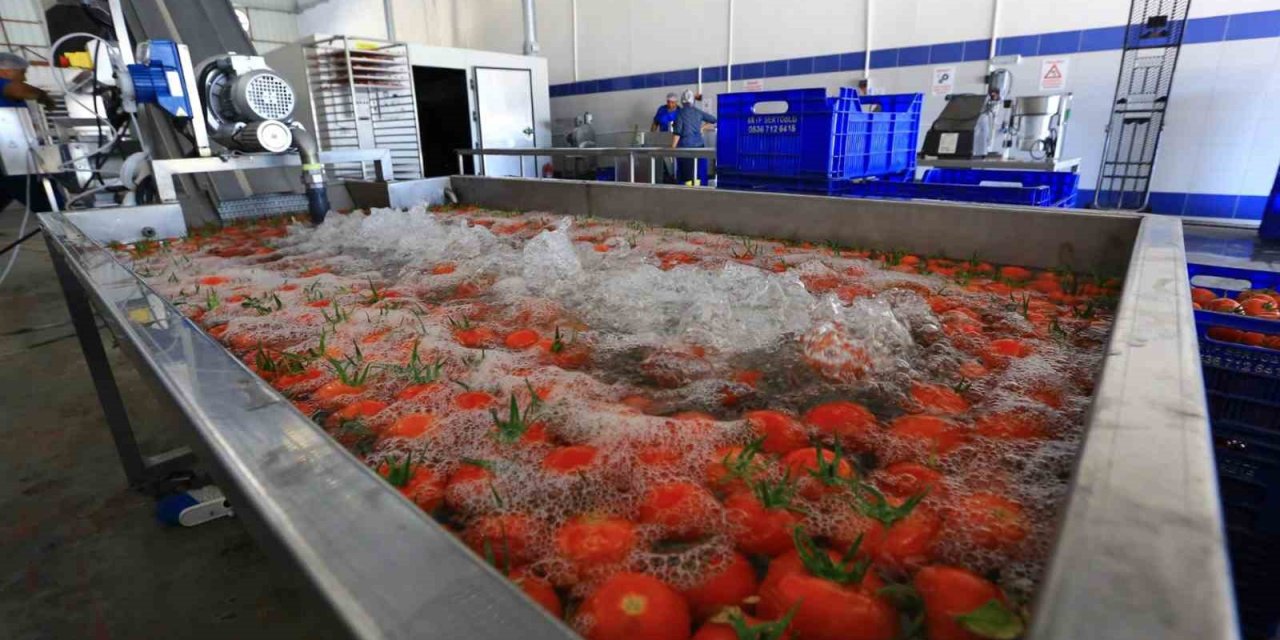 Muğla’nın ürünleri bu tesiste değerine değer katıyor