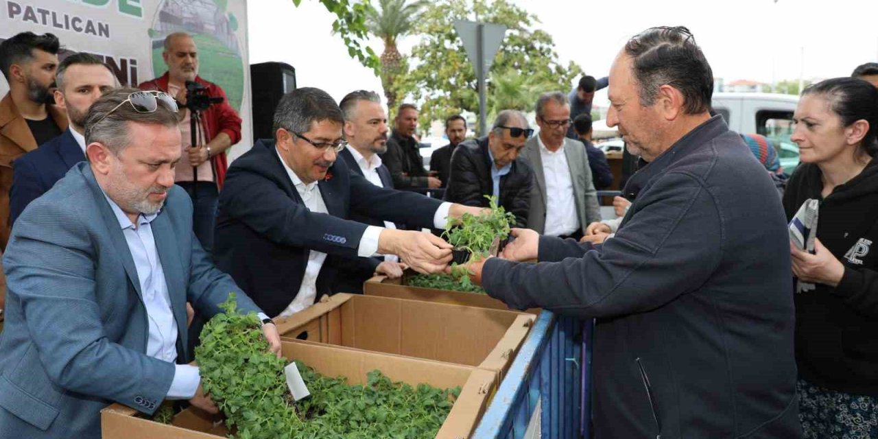 Şehzadeler Belediyesi vatandaşlara 23 bin fide dağıttı