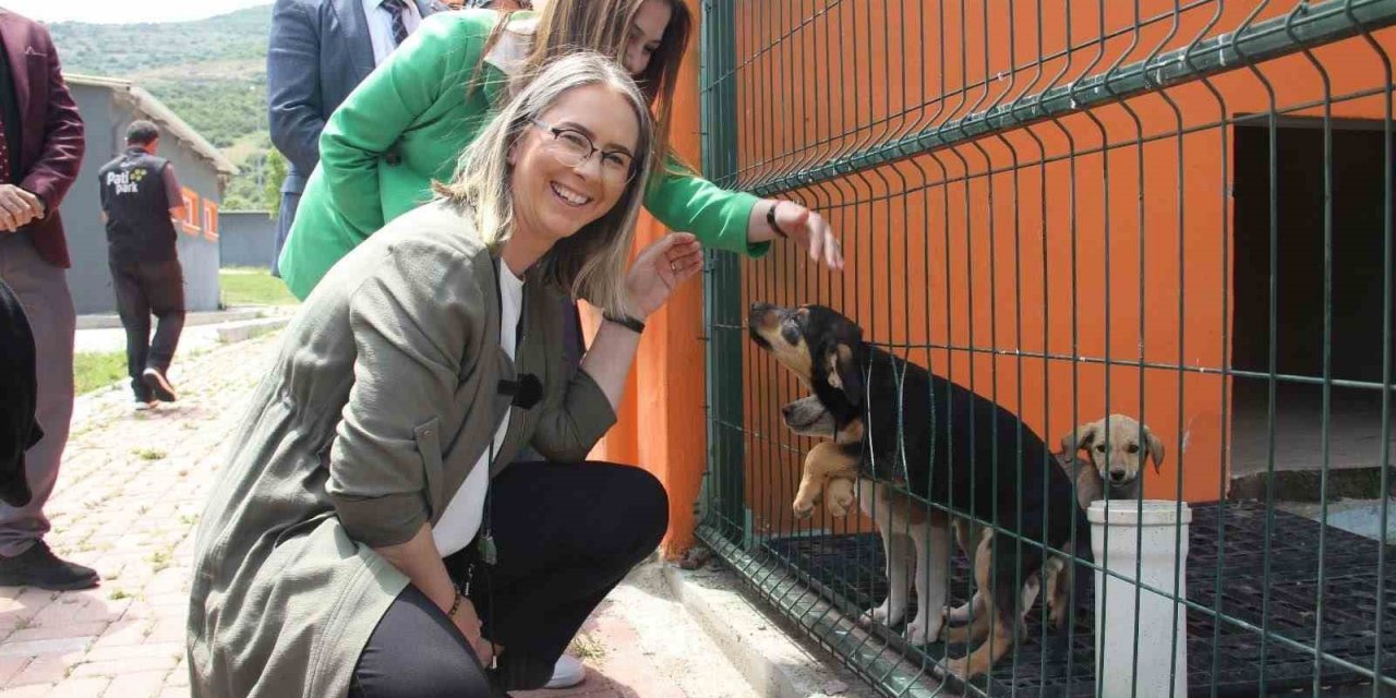 AK Parti’li Çankırı’dan sokak hayvanları için İzmir’e 2 müjde