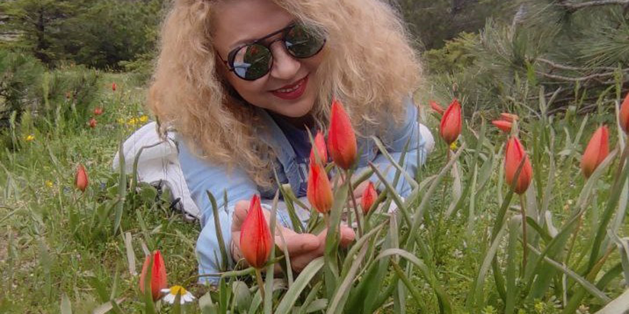 Spil Dağı Milli Parkı lalelerle kaplandı