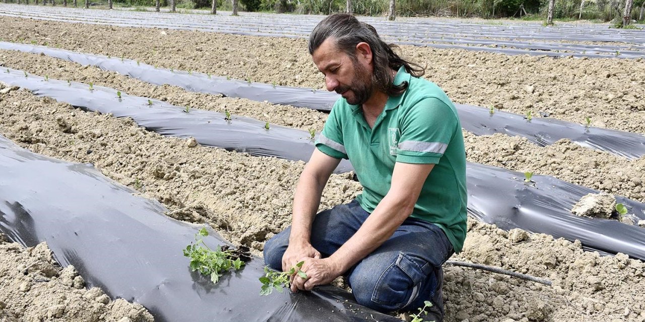 Adabahçe’ye yaz bereketiyle geldi