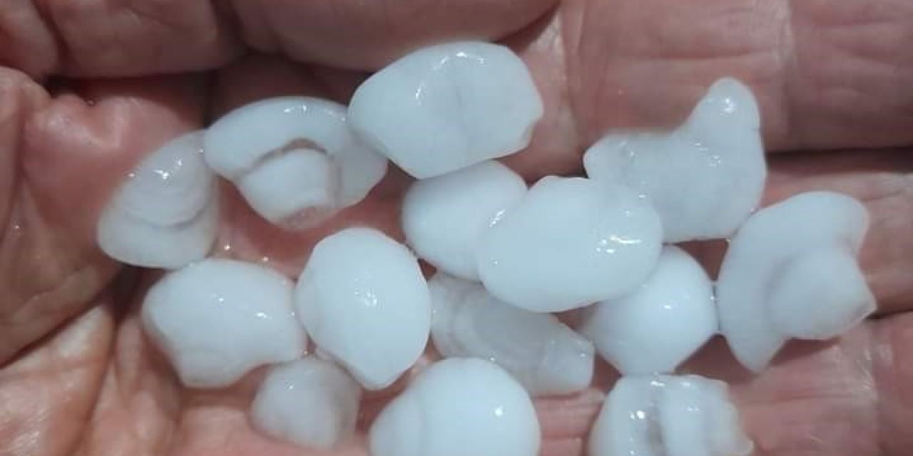 Sarıgöl’de dolu zararı