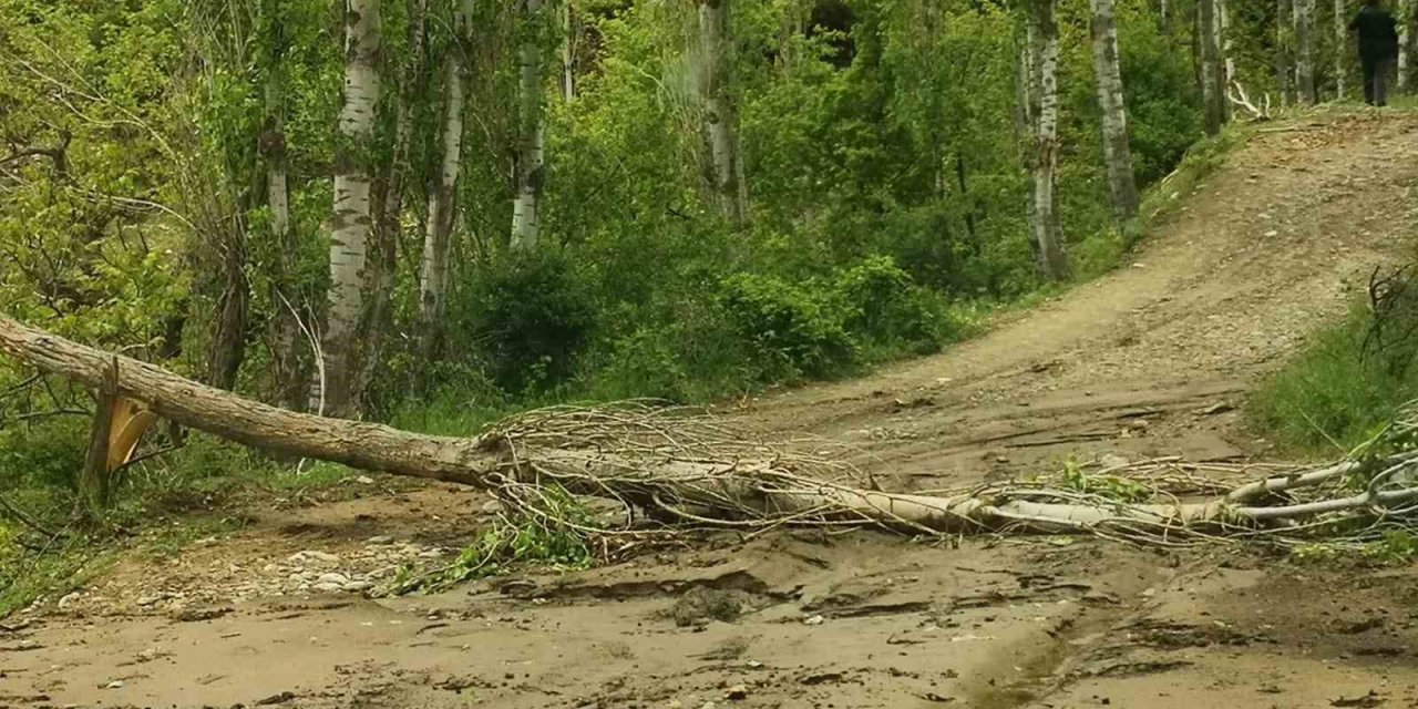 Sarıgöl’de önce dolu ardından sağanak yağış etkili oldu