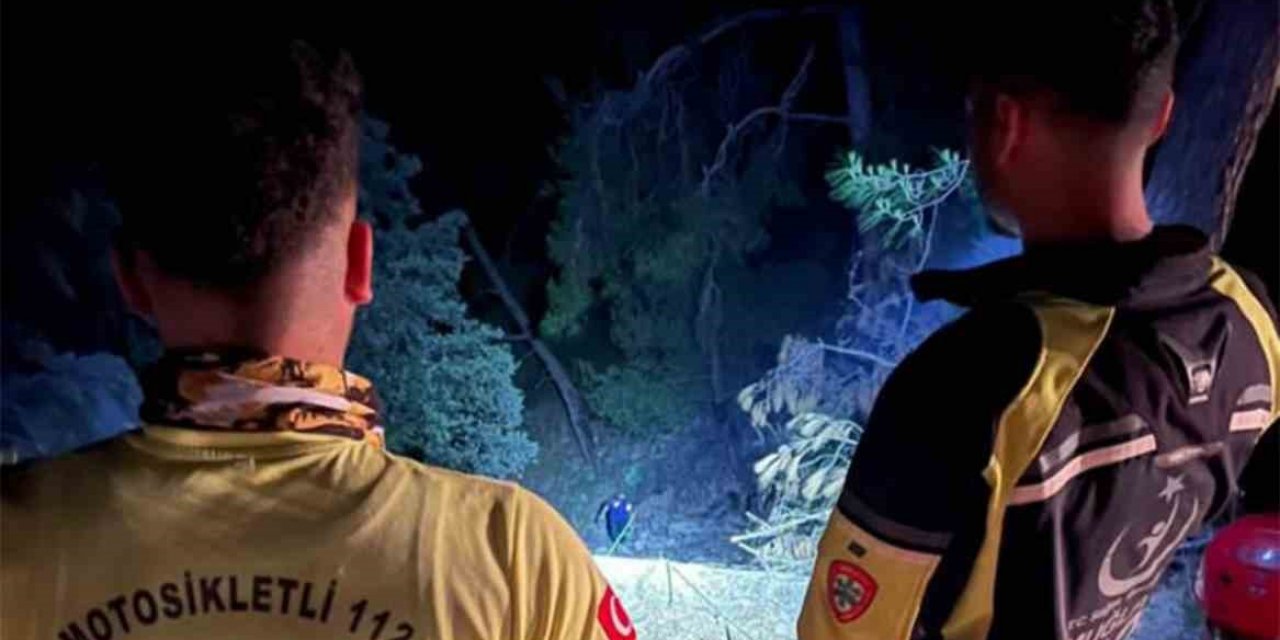 Gökova Turnalı yolunda araç uçtu