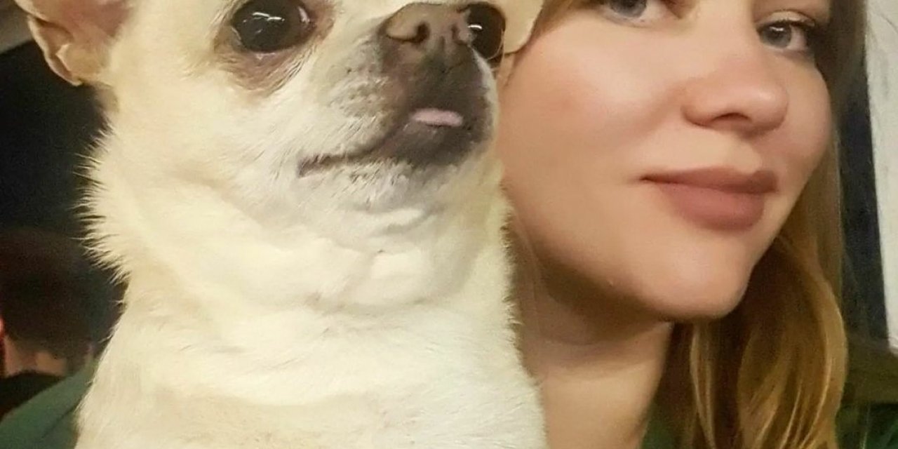 Bodrum Müzayede ’Miki’ için mezat yapacak