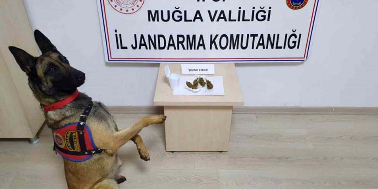 Jandarma 4 günde 147 operasyon yaptı