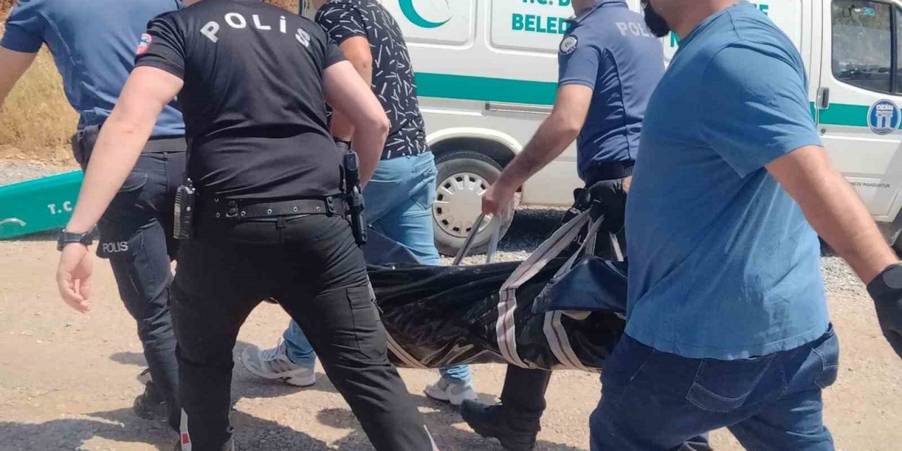 Bahçedeki kamelyada ölü olarak bulundu