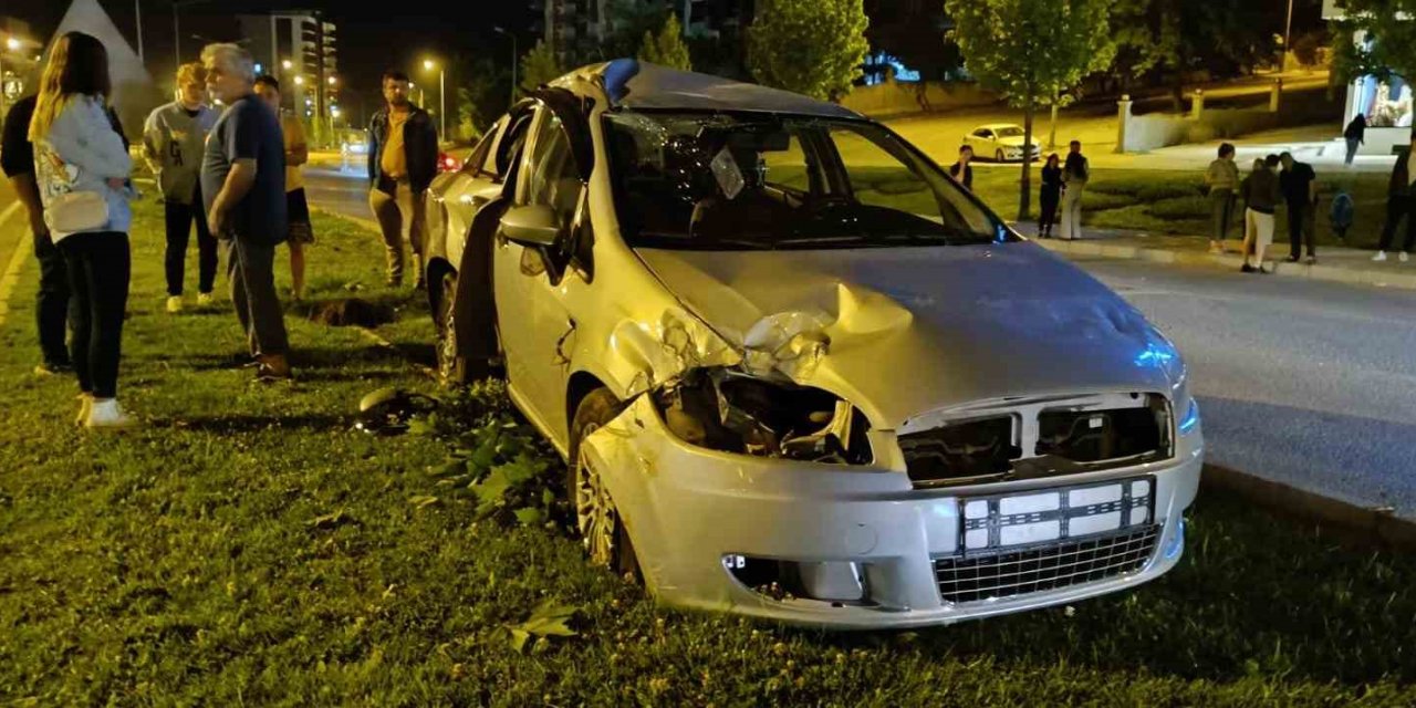 Kontrolden çıkan araç aydınlatma direği ve ağaçları devirdi