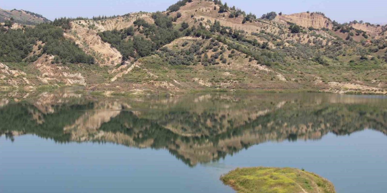 Aydın’da bahar yağmurları sevindirdi