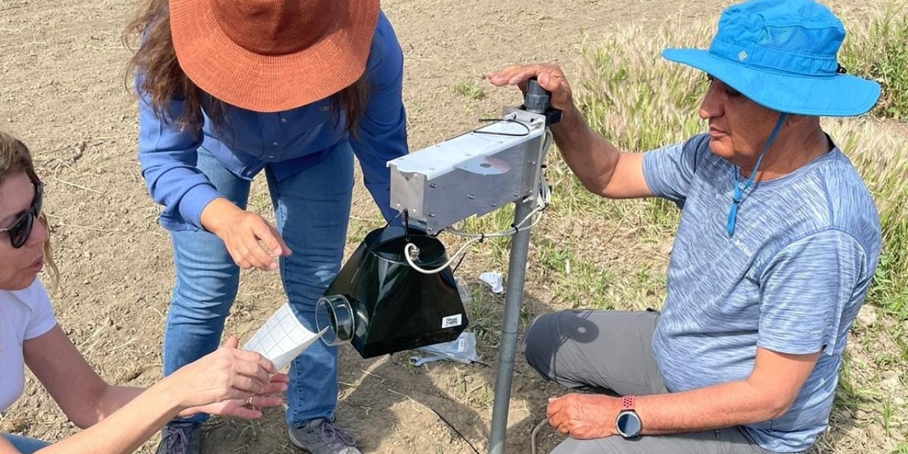 Söke’de pamuk zararlı takibinde dijital dönem