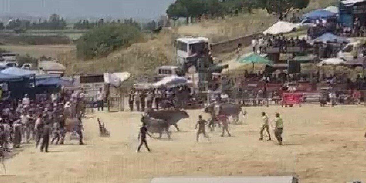 Söke’deki boğa güreşleri nefes kesti