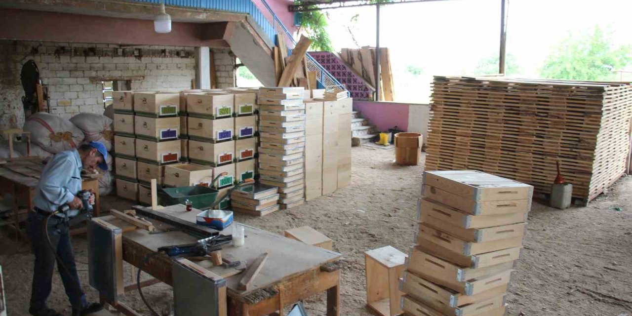 Yağışlar arıcıları, arıcılar da kovancıları coşturdu