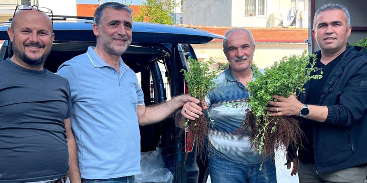 Efeler, artık kekik kokacak