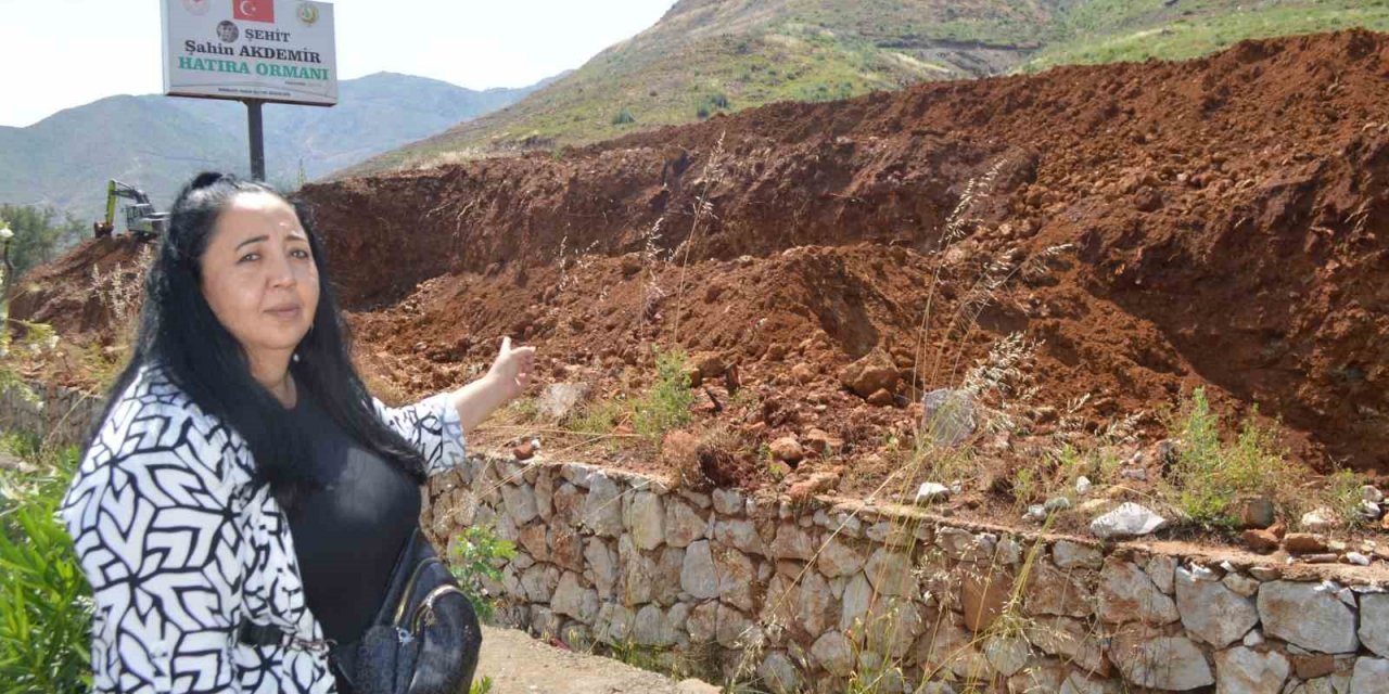 Hatıra Ormanı’nda dikilen fidanlar, toprağın altında kaldı