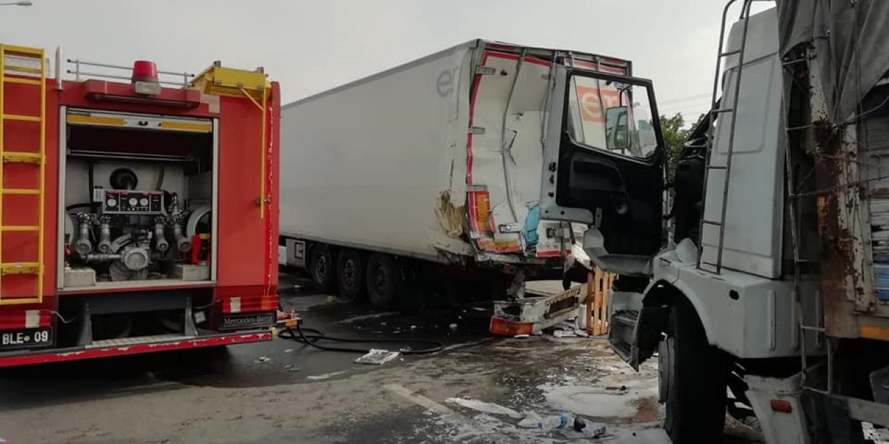 Yola çıkan yavru köpeği kurtarmak isterken canından oldu