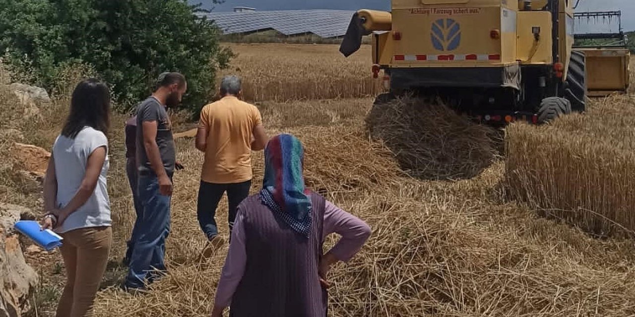 Didim’de hububat ekili araziler denetlendi