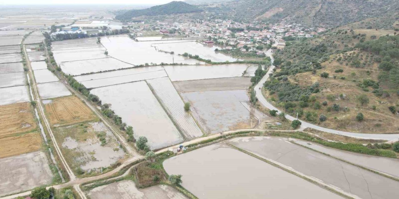 Sel, tarlaları sular altında bıraktı