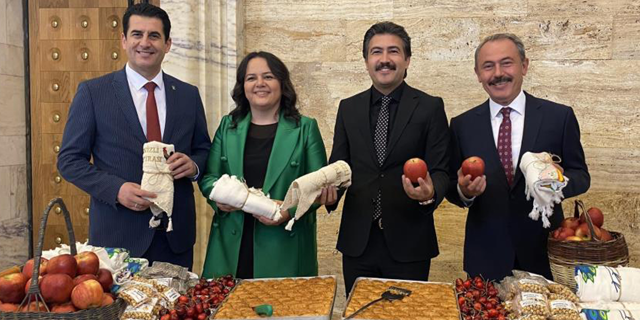 AK Partili vekiller, Meclis kaydına Denizli’nin değerleriyle gitti