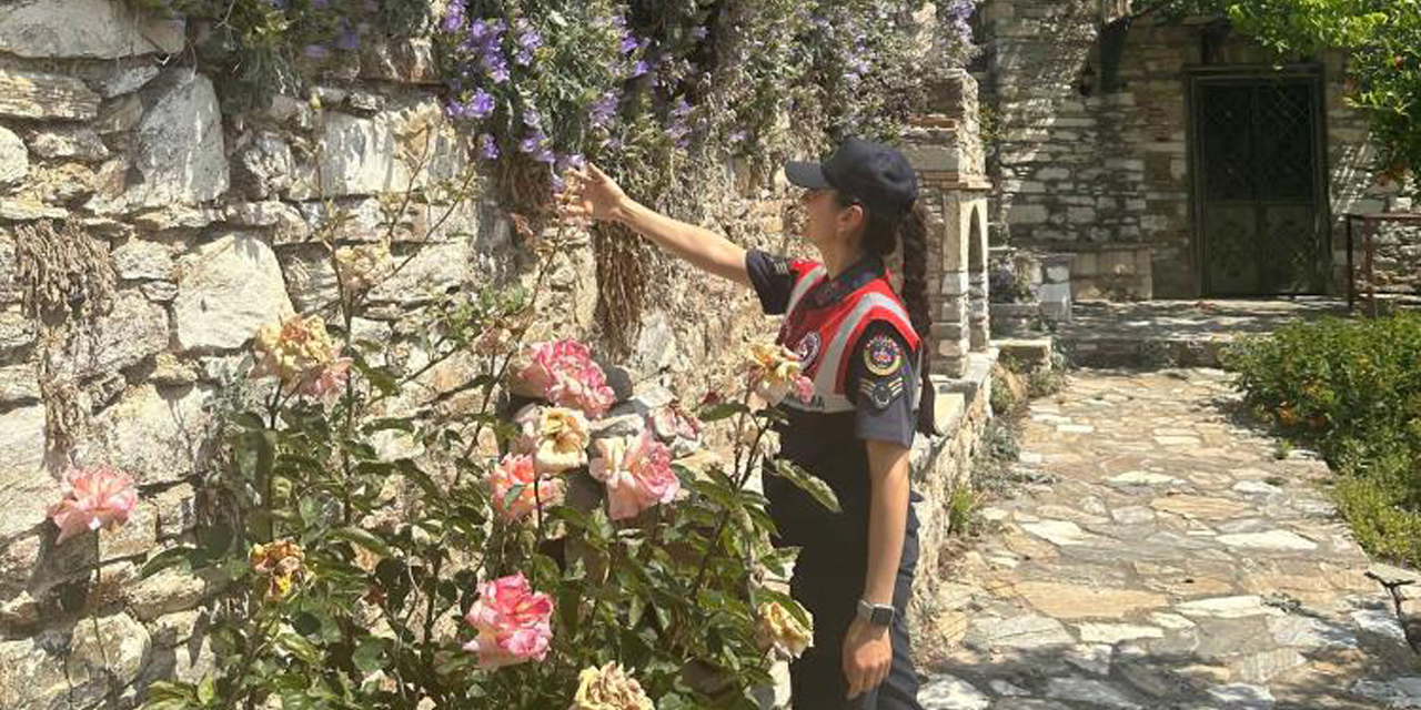 Jandarmadan endemik bitki nöbeti