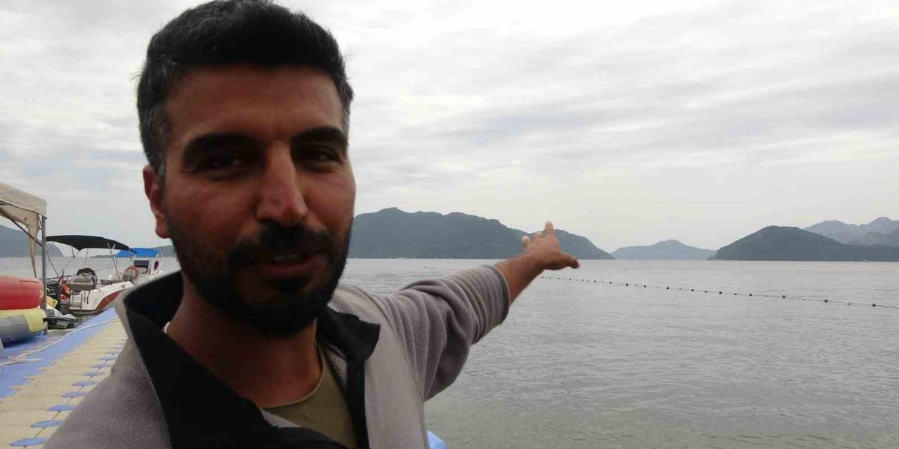 29 yıl sonra iç sularda tekrar görüldü