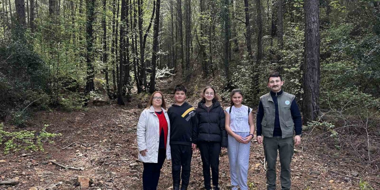 Marmarisli öğrenciler fotokapan kurup yangınlardan sonraki yaban hayatını inceliyor