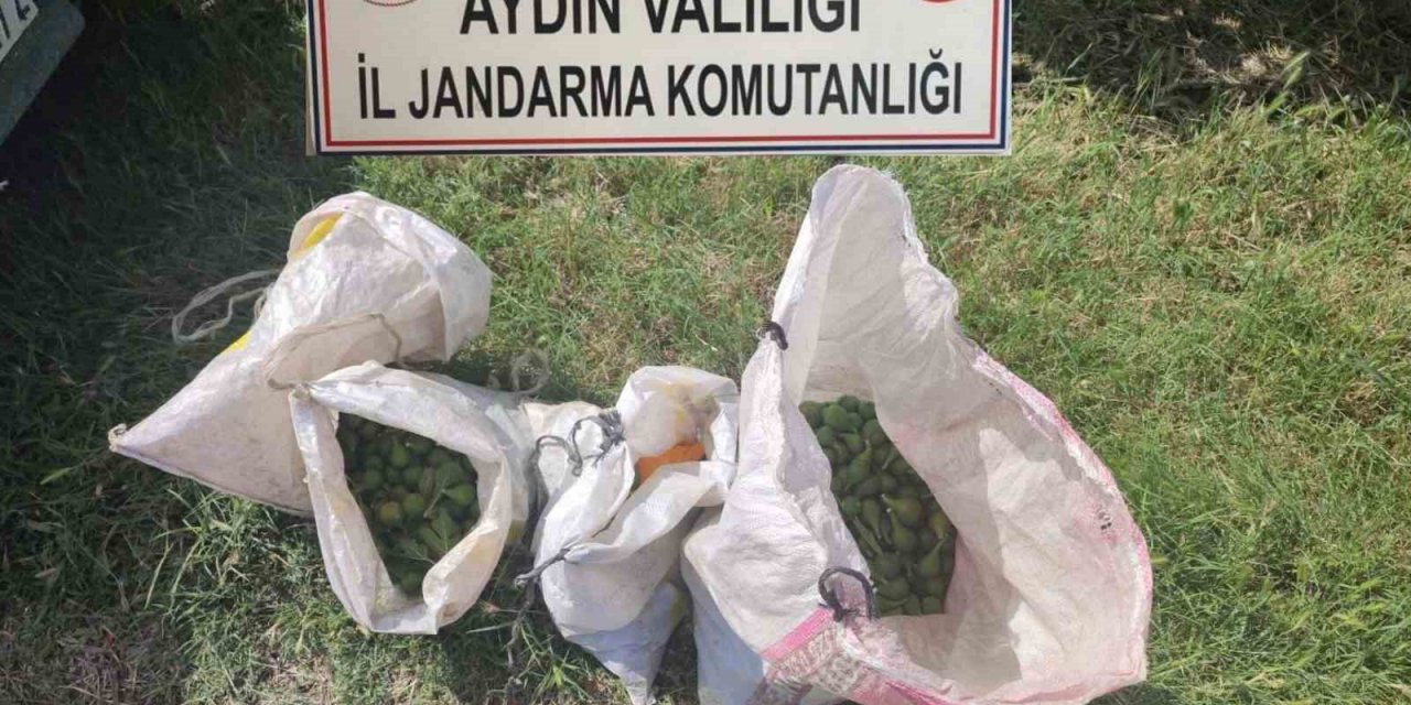 İğlek hırsızlarını jandarma yakaladı