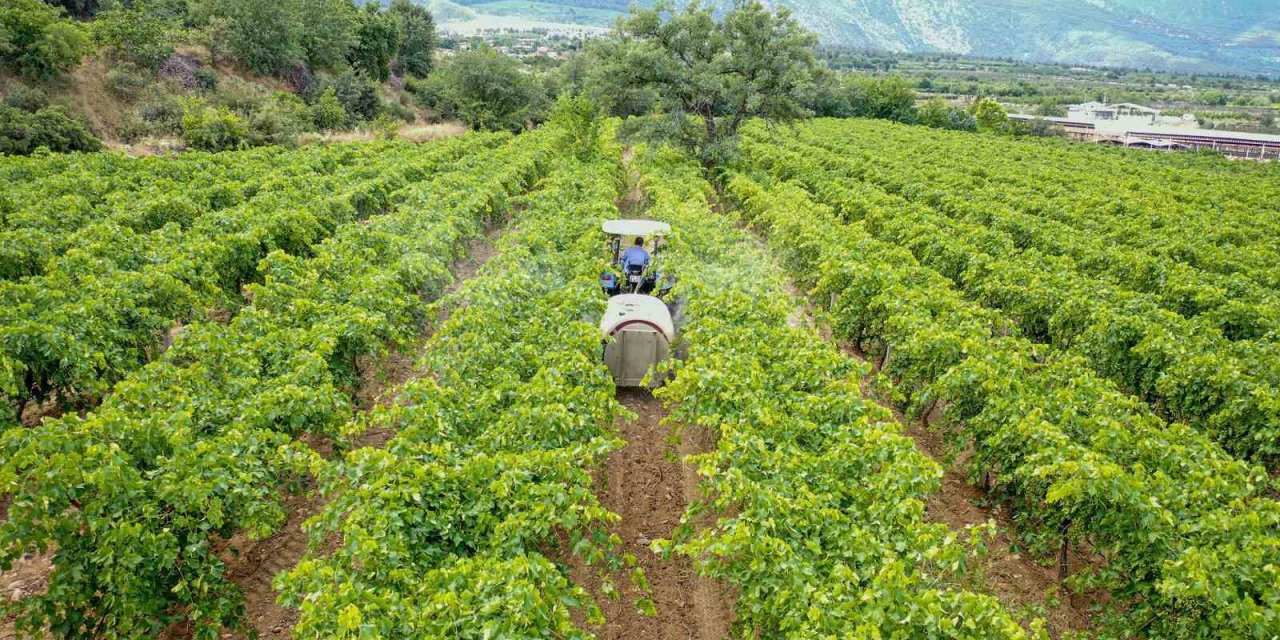 Üreticinin dolu zararı Denizli Büyükşehir desteğiyle önlenecek